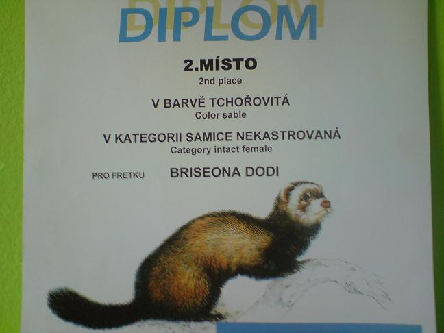 Diplom z Brna (3).jpg
